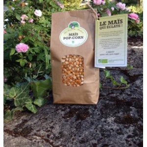 Maïs popcorn bio