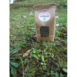 Lentille verte bio