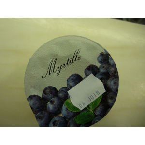 Yaourts brassés myrtille bio