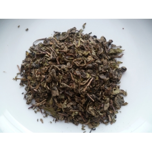 ' les seigneurs du désert ' menthe