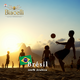 Café brésil - 250gr - moulu - image 3
