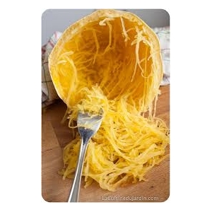 Plant de courge spaghetti