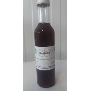 Sirop de groseille / fleurs de surea