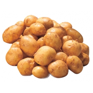 P de terre nouvelles alliance