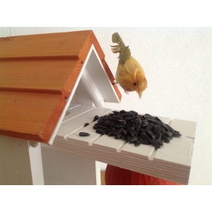 Graines de tournesol bio pour oiseau