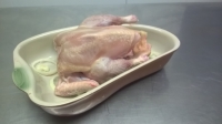 Poulet