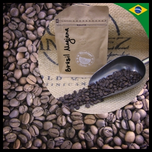 * en grain - brésil santos mogiana