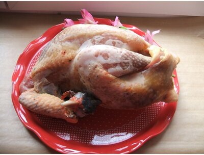 Pintade fermiere de 1,8 kg à 2 kg