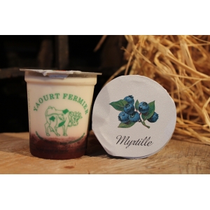 Yaourt fermier sur lit de myrtilles