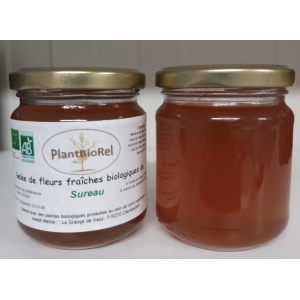 Gelée de fleurs de sureau noir