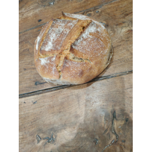 Pain grand-épeautre