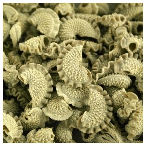 Crêtes de coq sèches à l'ortie