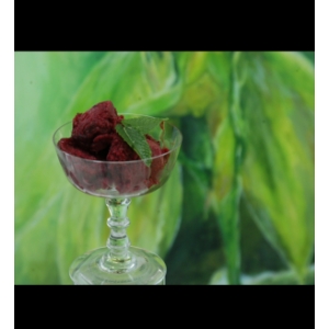 Sorbet cassis