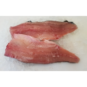 1 filet de truite arc-en ciel