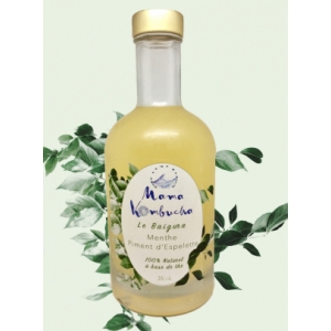 Kombucha  menthe - piment d'espelette