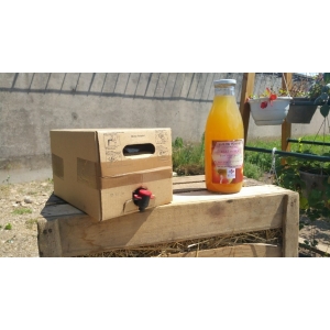 Cubis de jus de pomme