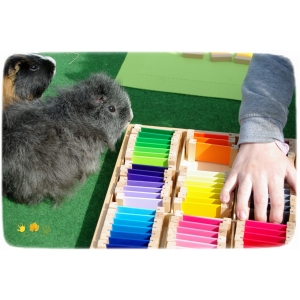 Médiation par l'animal - passeur de nature