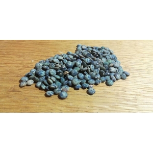 Lentilles vertes de haute-marne