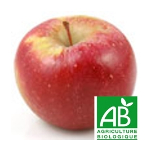 Pomme - dalinette bio 14kg