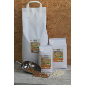 Farine de blé t65 bio