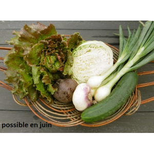 Petit panier de légumes bio.