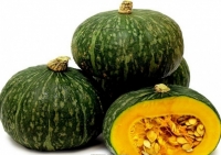 Potimarron vert shiatsu 1kg à 1.5kg