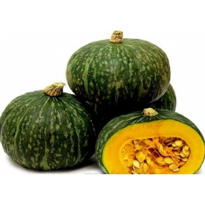 Potimarron vert shiatsu 1kg à 1.1kg