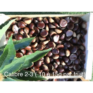 Chataignes “bouche de betizac” calibre 2-3