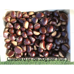 Chataignes “bouche de betizac” calibre 0