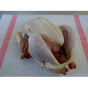 Vieille poule 2kg (+ ou - 50g)