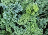 Choux kale par 300gr