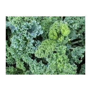 Choux kale par 300gr