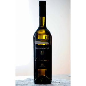 Chardonnay élevé en barrique