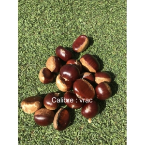 Châtaignes “marigoule” vrac