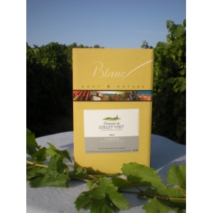 Bib aop blanc 5 l collet vert