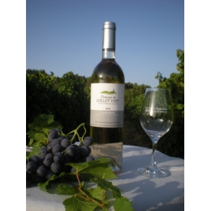 Aop rose collet vert