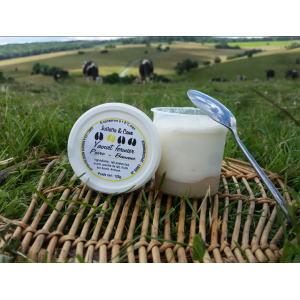 Yaourt lit de fruits poire/banane