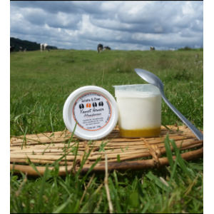 Yaourt lit de fruits mandarine