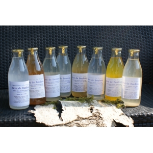 Sève de bouleau fraiche aromatisée ( menthes)