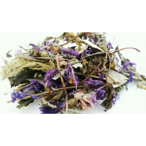 Infusion grands vents