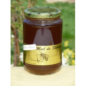 Miel de forêt de sologne été