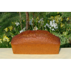 Pain d'épices nature (au miel de sologne)