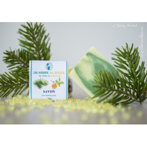 Savon arbre au soleil