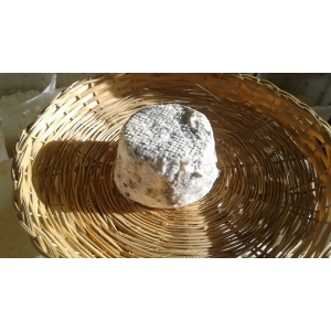 Fromage de vache demi-sec