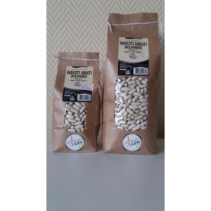 Haricots lingots bio 500 gr