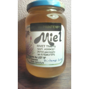 Miel de printemps 500 g