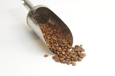 Café inde malabar moussonné grain