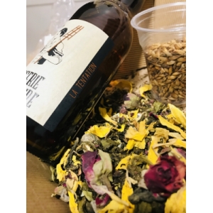 La tentation - frui'thé