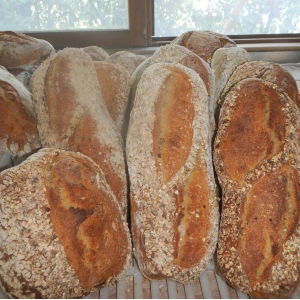 Pain aux graines 500g