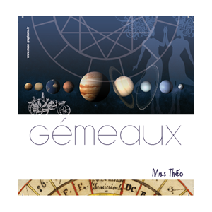 Gémeaux 2016 vin rouge bio